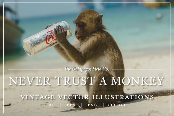 Never Trust a Monkey - Vintage Set