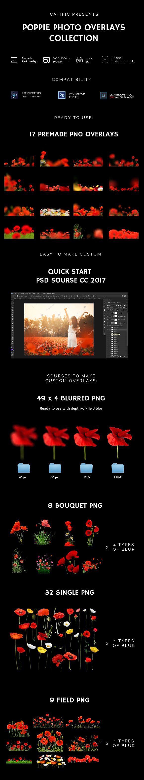 66+ Poppie Flowers Photo Overlays