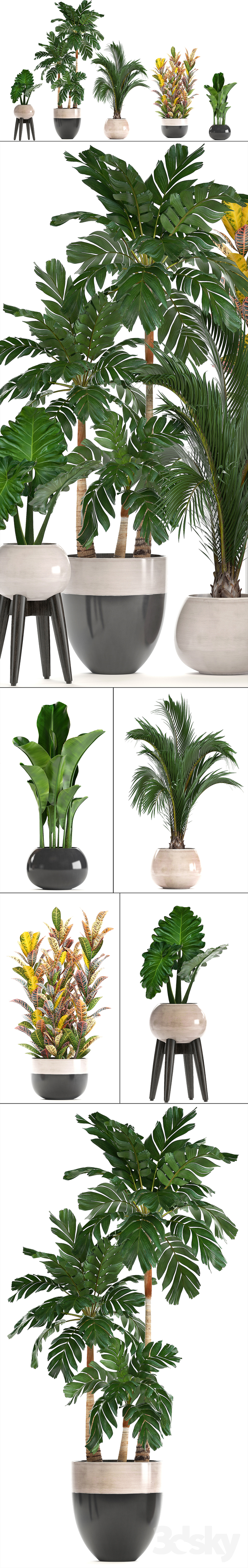 Collection of plants.