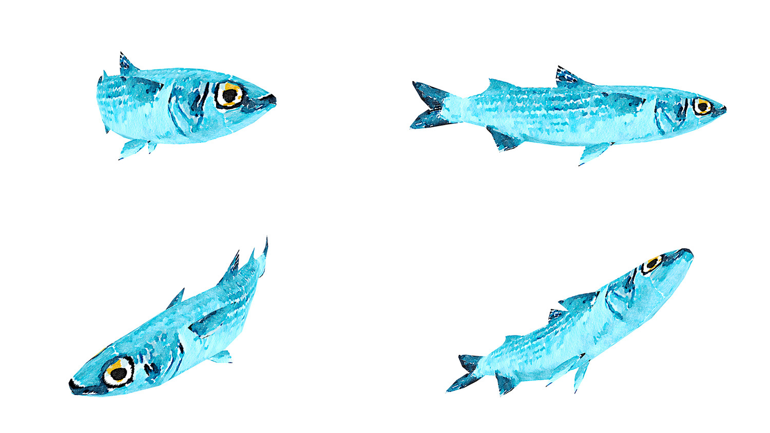 Fish Illustration Collection Part 4 - Animated