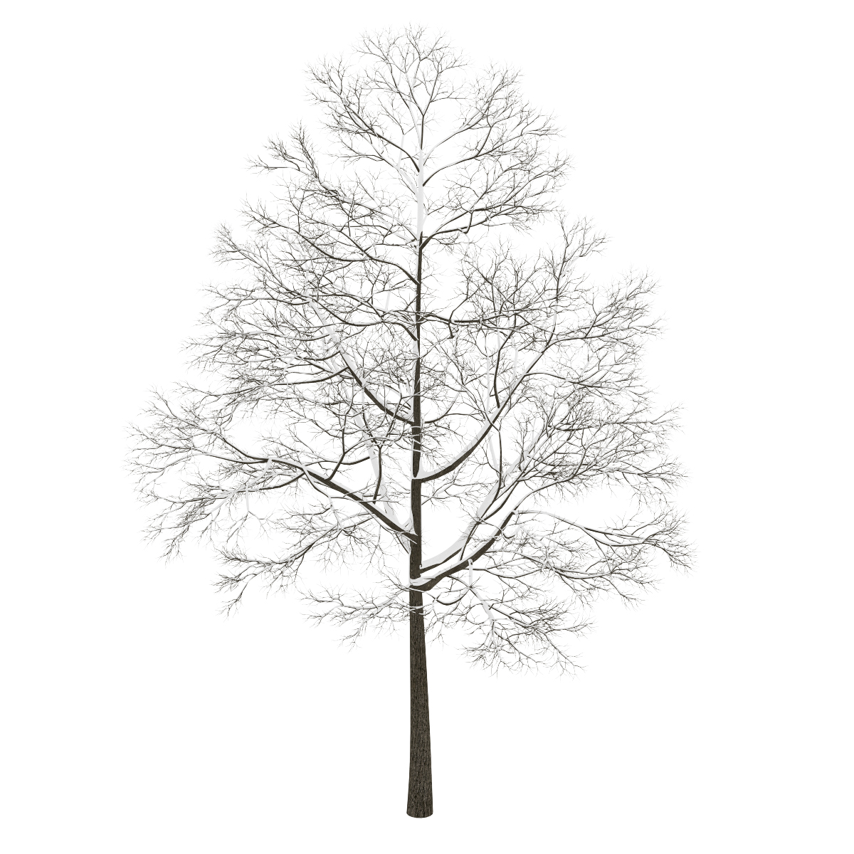 CGAxis Models Volume 28 Trees III