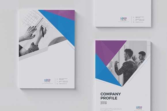 Company Profile 22 Pages