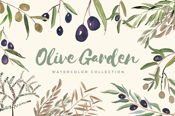 Olive Garden Watercolor Collection
