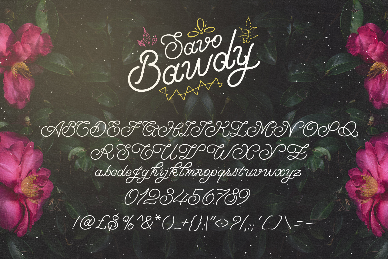 Savo Bawdy - Typeface 