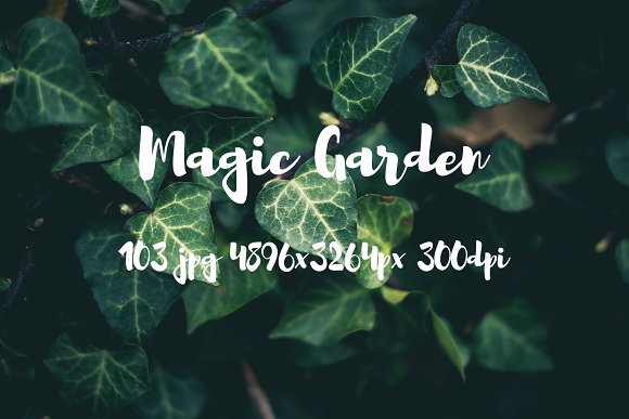 Magic garden pack