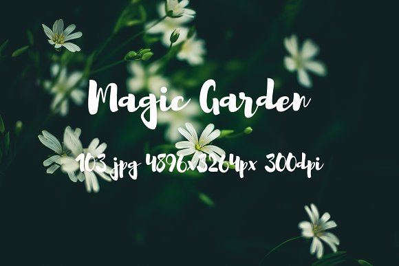 Magic garden pack