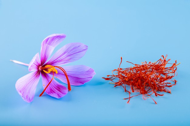 Crocus Flower And Dried Spice Saffron Stamens 