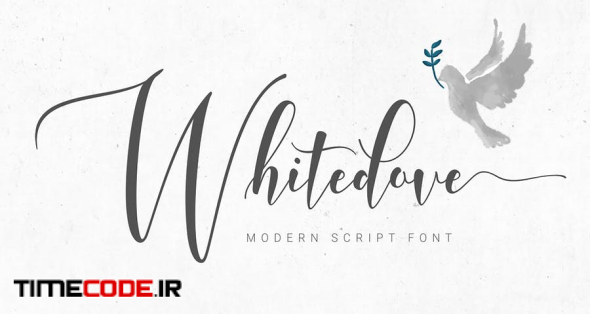 Whitedove Modern Script