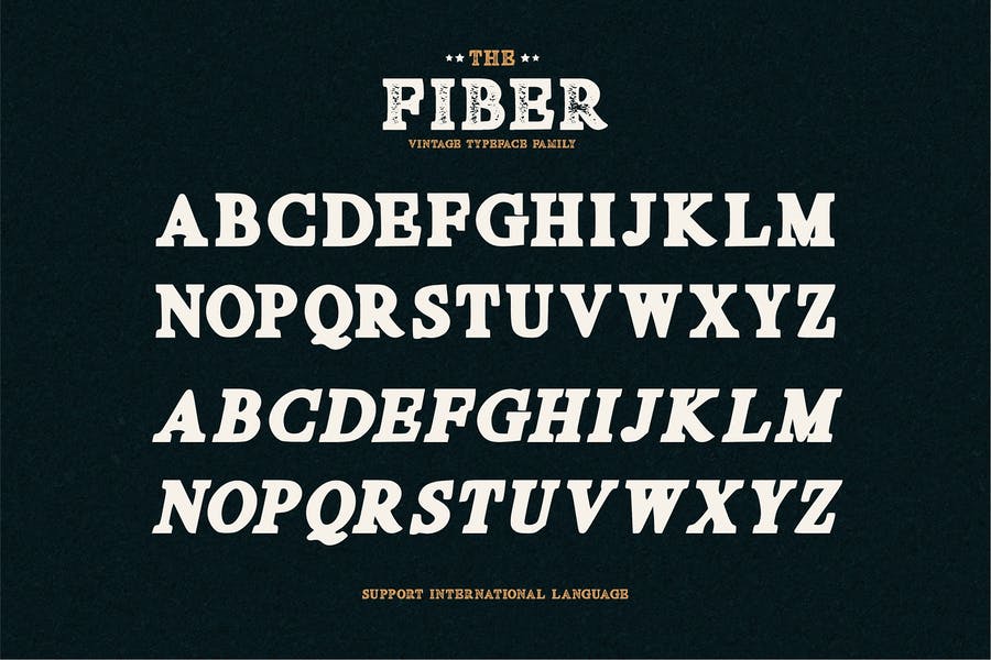 Fiber - Vintage Serif Font