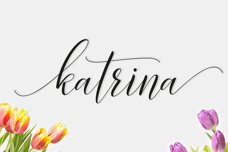 Katrina Script