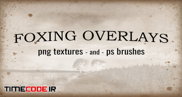 Foxing Textures And Brushes | Pre-Designed Photoshop Graphics