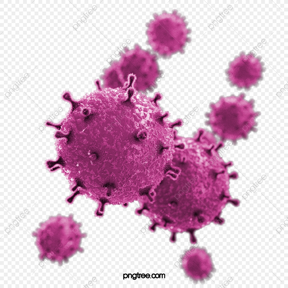 Pink 3d Corona Virus Element