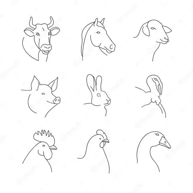 Vector Set Of Linear Illustration Heads Of Farm Animals Isolated In White Background 
