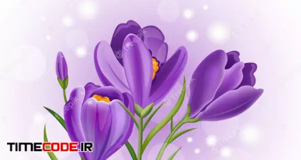Crocus Ultra Violet Flowers Bouquet 