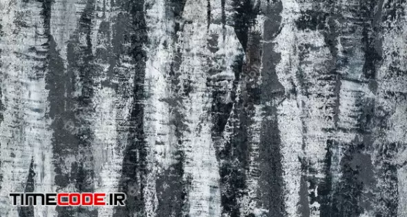 Background Of The Plastered Texture With The Effect Of Tree Bark. Artistic Background Handmade 