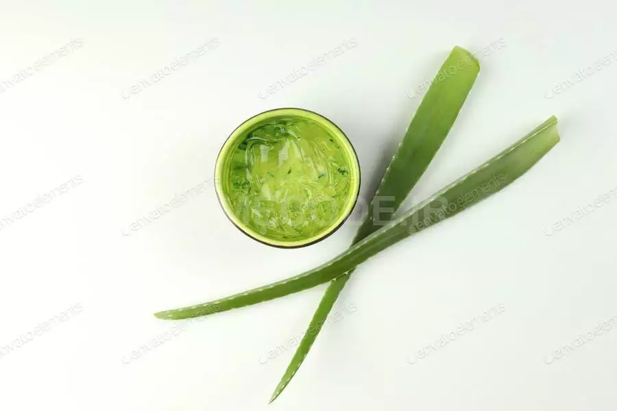 Aloe Leaves And Bowl With Gel On White Background