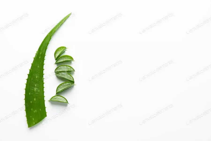 Aloe Vera Leaf And Slices On White Background, Space For Text. Natural Treatment