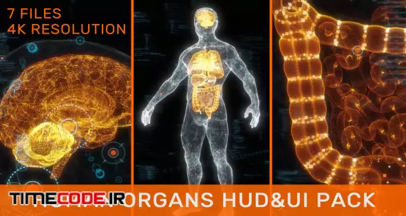 Human Organs HUD Pack