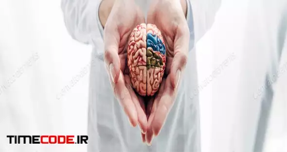 Panoramic Shot Of Doctor Holding Model Of Brain In Clinic