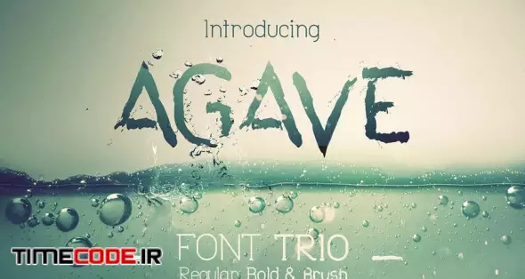 Agave Font Trio