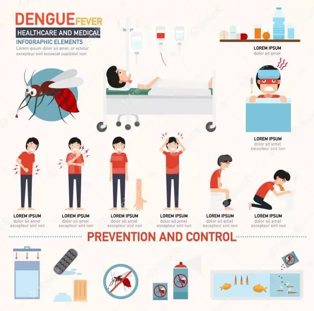 دانلود اینفوگرافیک تب دانگ Dengue Fever Infographics – تایم کد