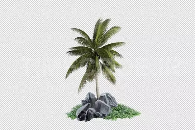 Small Palm Plantation 