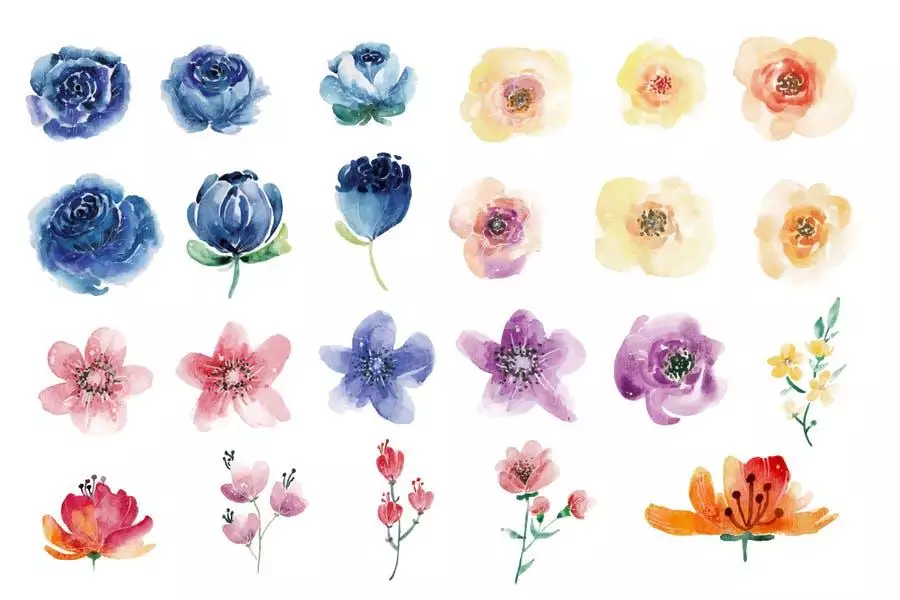 Flowers And Foliage Watercolor Set Vol 2