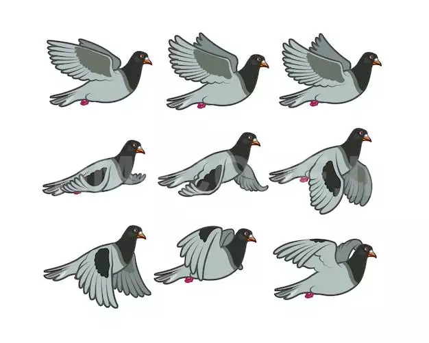 Flying Pigeon Cartoon Animation Sprite