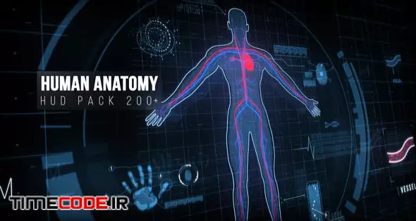 Human Anatomy HUD Pack 200+