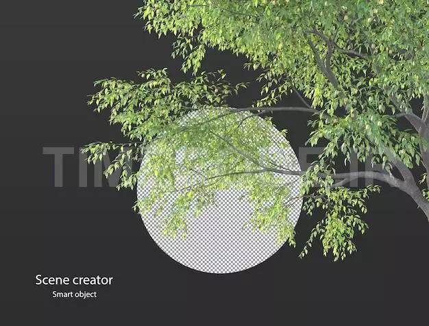Various Types Of Tree Branch Plants Bushes Shrub And And Small Plants Isolated Rendering