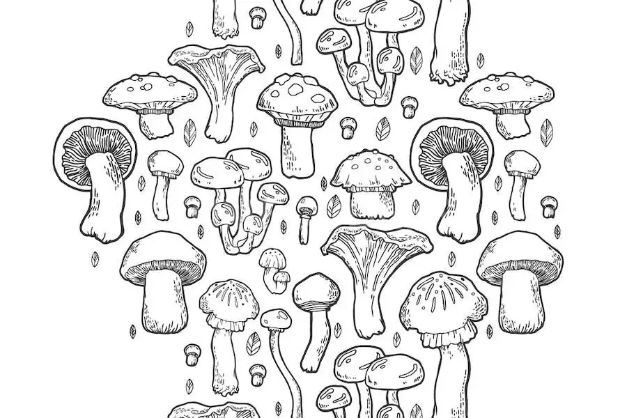 Mushroom Handdrawn Pattern