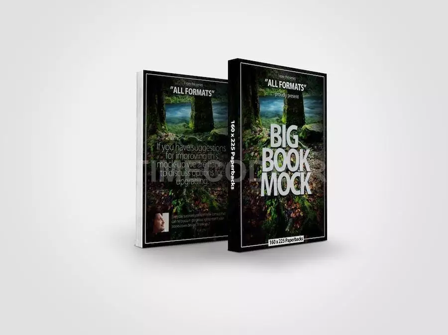 Book Mockup Dimension 160 X 225 Mm - Paperbacks