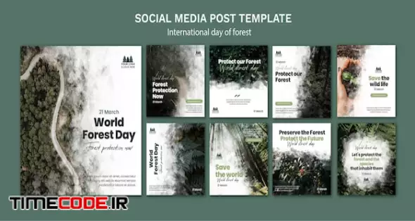 World Forest Day Instagram Posts Template