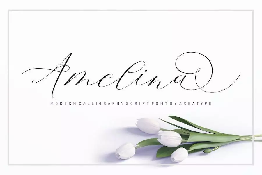 Amelina Script