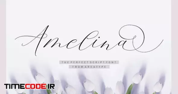 Amelina Script