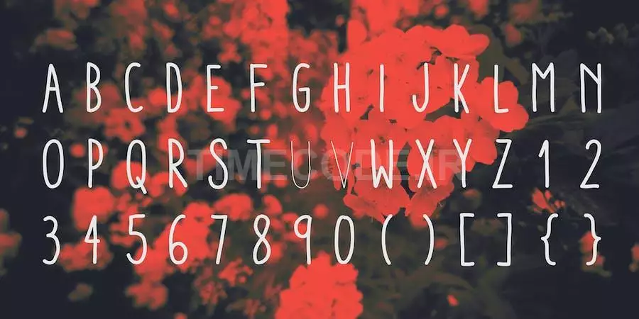 Aracne Condensed