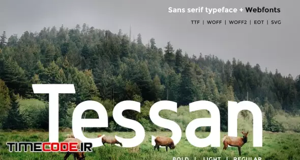 Tessan Sans - Modern Typeface + WebFont