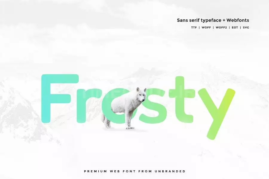 Frosty - Modern Typeface + WebFonts