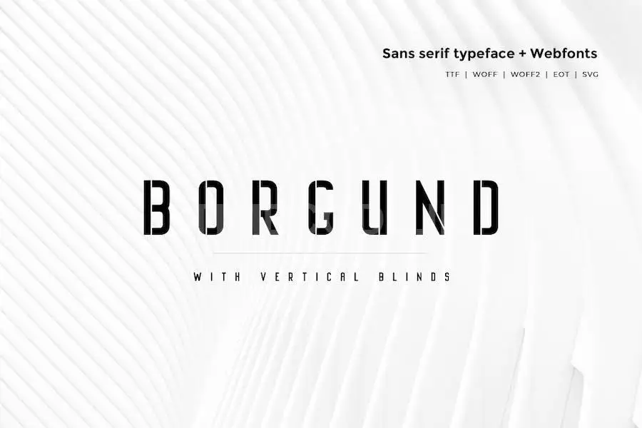 Borgund Blinds - Modern Typeface + WebFont