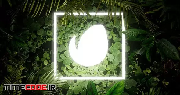 Lighting Nature Logo