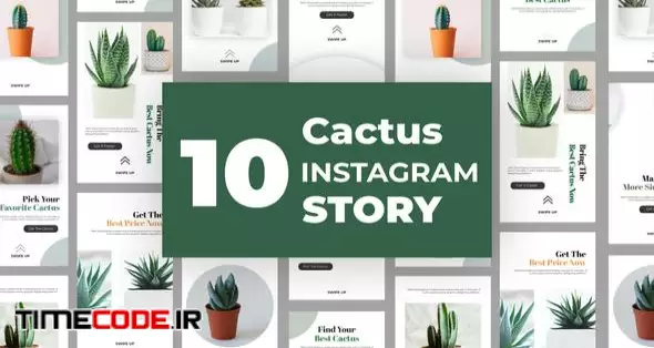 Cactus Instagram Story Pack