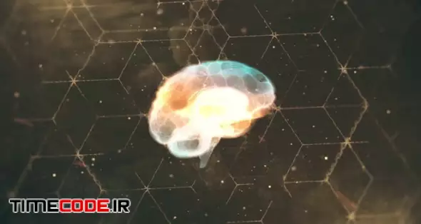 Smart Brain Logo Reveal
