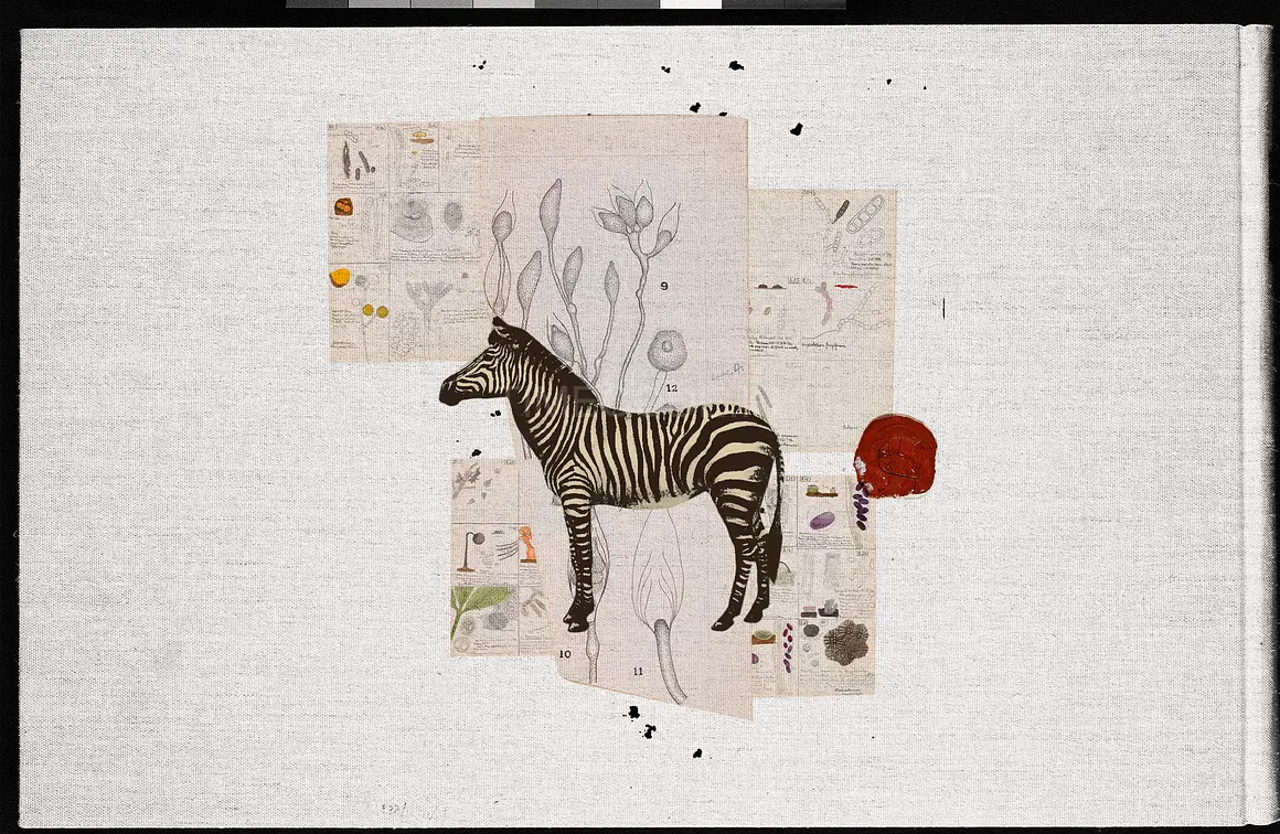 400 تکسچر قدیمی برای کلاژ