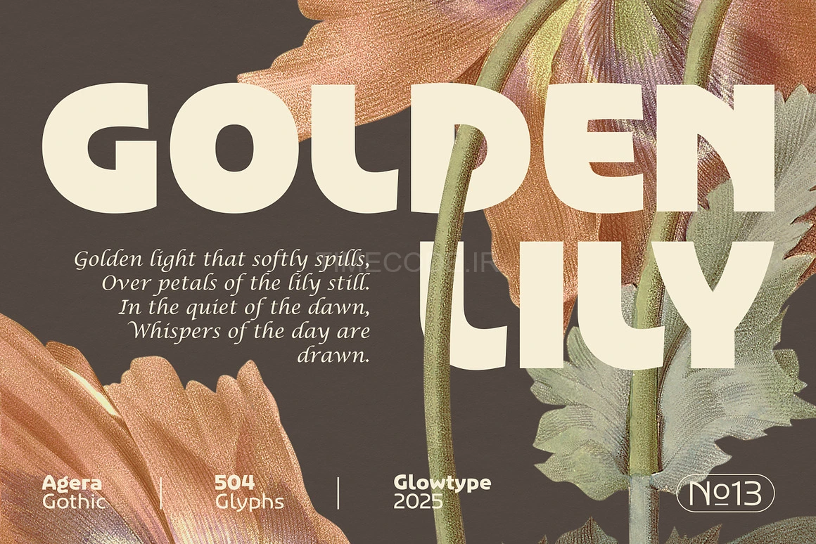 دانلود فونت انگلیسی گوتیک Agera Gothic Display Font | Creative Market ...