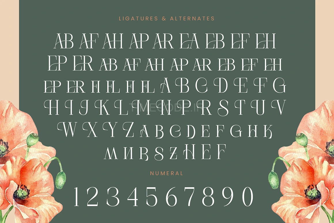 فونت انگلیسی سریف مدرن