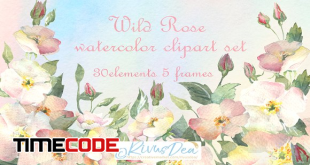 Watercolor-wild-dog-rose-clipart-set