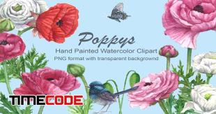 PoppysBird-Watercolor-Clipart