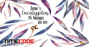 Watercolor-Eucalyptus-Clipart