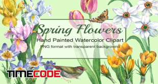 Spring-Flowers-Watercolor-Clipart