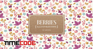 2389951-Berries-illustrations